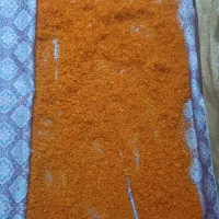 گل خشت|گل و گیاه طبیعی|کرمان, |دیوار