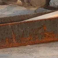 کبوتر گمشده|حیوانات|ارومیه, |دیوار