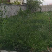 زمین-4-دیواری-با-بنا-300-متر-در-سهیله-لشکرآباد