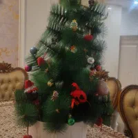 درخت کاج کریسمس