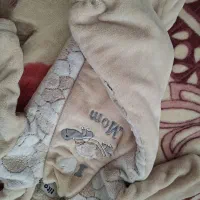 پالتو تدی