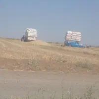 کاه گندم فروشی