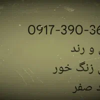 سیم کارت|سیم‌کارت|شیراز, کوشک میدان|دیوار