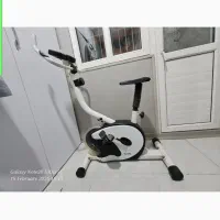 دوچرخه اصل تایوانی مارک