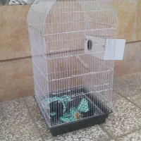 قفس بزرگ پرنده کاسکویی خانه ای نوی نو هست