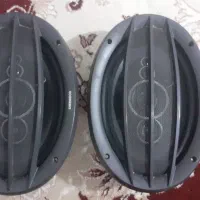 باند