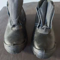 پوتین ایمنی