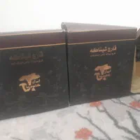 فروش قارچ شیتاکه عمده و جزئی