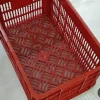 سبد 20 کیلویی سالم