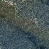 یونجه خشک بدون علف بسته بند شده