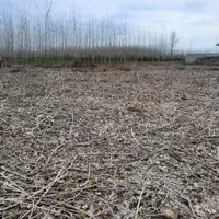 زمین باغات داخل طرح هادی دور محصور به شرط پروانه