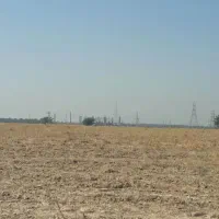 زمین-کشاورزی-برا-اجاره-11-هکتار