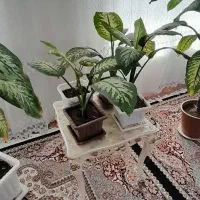 قیمت 15.000.000ملیون تومان است قیمت ها جدا جدا