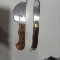 گازن