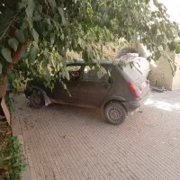 پی کی ۸۲