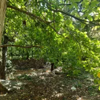 باغچه 600 متری در سولقان