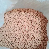 نخود دیم درجه یک بسیار خوب و بسیار درشت