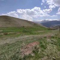 زمین کشاورزی در نویزک