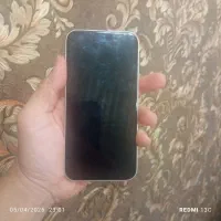 سیزده نرمال