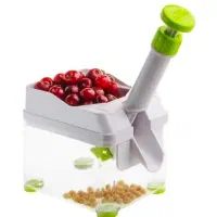 هسته گیر آلبالو برند نوین
