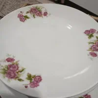 سرویس گلسرخی