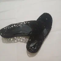 کفش و پاپوش
