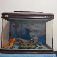 فروش اکواریوم