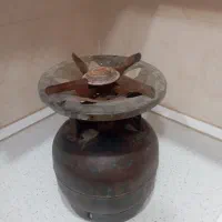 یک عدد بیکنیک سالم