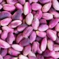 پسته تازه دامغان