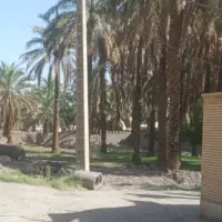 فروش زمین