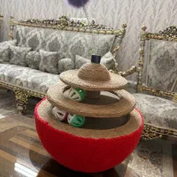 اسکرچرگربه