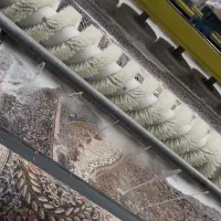 قالیشویی بهار