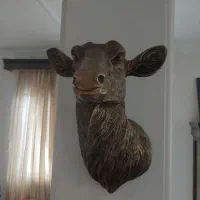 دیوارکوب آهو