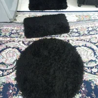 پادری