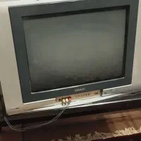 تلوزیون