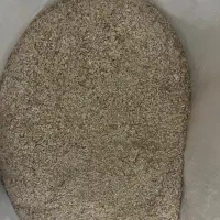 جودوسر پرک فوری