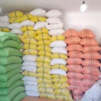 حبوبات
