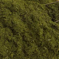 سبزی خشک درجه یک