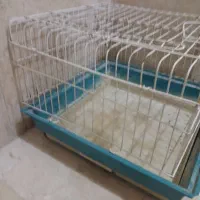 قفس خوکچه و خرگوش
