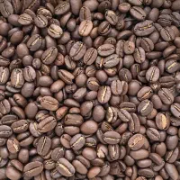 پخش عمده قهوه و پودریجات، قیمت کارخانه + نمایندگی