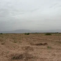 فروش-محدود-قطعات-زمین-مستعد-باغ-پسته-آرادان-گرمسار