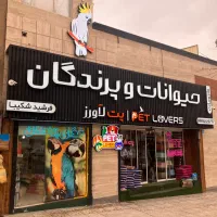 استخدام صندوق‌‌حسابدار مسلط به نرم‌افزار هلو