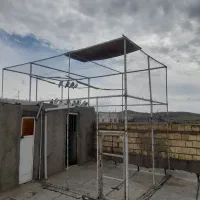 تور کبوتر