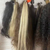 موطبیعی فقط شاخه ای ۲۰ تومن تا گودی