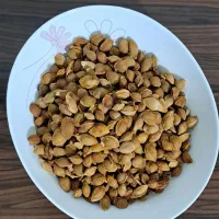 هسته زردآلو شیرین درجه یک