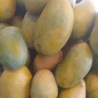 اَنبه‌‌‌زرد‌مُحلی‌مینُو‌خُوشمزه‌