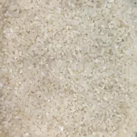 برنج|خوردنی و آشامیدنی|شادگان, |دیوار