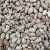 لوبیا|خوردنی و آشامیدنی|مشهد, شهید جنگی|دیوار