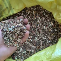 مخلوط کبوتری ( ایران پرنده )