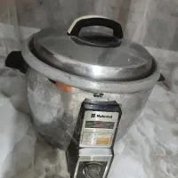 پلوپز برقی ناسیونال ژاپن